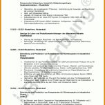 Überraschend Anschreiben Projektmanager Vorlage 950x1344