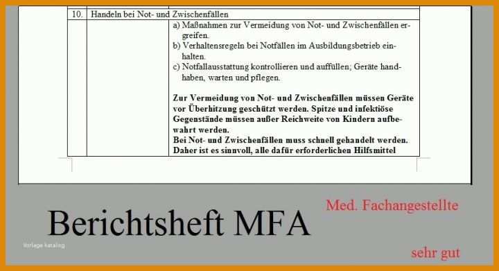 Überraschend Berichtsheft Mfa Vorlage 877x476