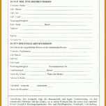 Fabelhaft Einspruch Gegen Blitzer Vorlage 724x1024