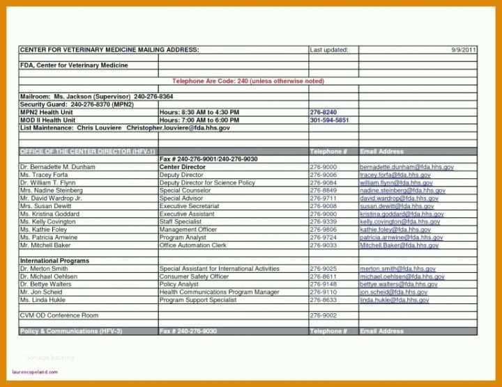 Original Excel Vorlage T Konten 768x593