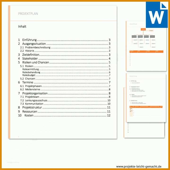 Beste Projektplan Vorlage Word 1000x1000