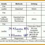 Sensationell Trainingsplan Pferd Vorlage 1139x576