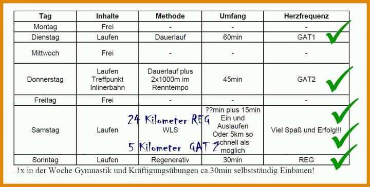 Einzigartig Trainingsplan Pferd Vorlage 1139x576