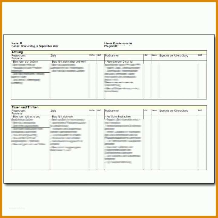 Bemerkenswert Vorlage Pflegeplanung 1000x1000