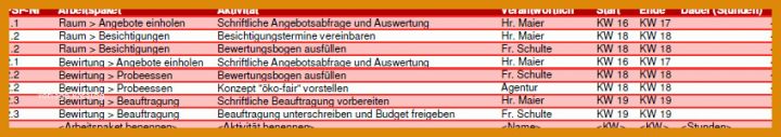 Toll Aktivitätenliste Projektmanagement Vorlage 848x149