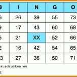 Selten Bingo Vorlage 788x598