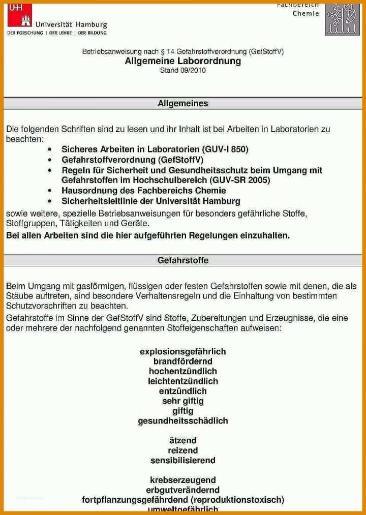 Ideal Gefährdungsbeurteilung Labor Vorlage 960x1350