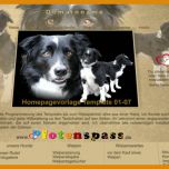 Großartig Hunde Homepage Vorlagen 1400x400