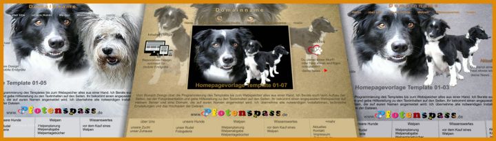 Selten Hunde Homepage Vorlagen 1400x400