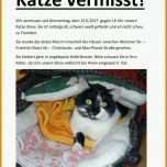 Spezialisiert Katze Vermisst Vorlage 1029x1266