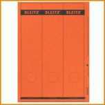 Toll Leitz 1687 Vorlage Word 1000x1000