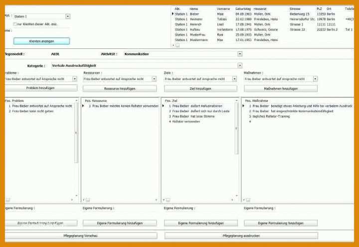 Ausnahmsweise Pflegeplanung Vorlage Word 728x500