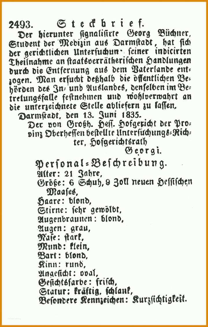 Atemberaubend Steckbrief Schüleraustausch Vorlage 1126x1771