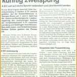 Selten Vorlage Zeitung Word 1376x1968