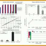 Bestbewertet Bewerbermanagement Excel Vorlage Kostenlos 780x600