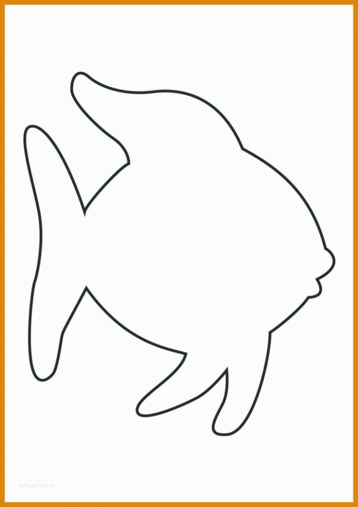 Hervorragend Fisch Vorlage Für Deinen Erfolg Hervorragend Fisch Vorlage Für Deinen Erfolg