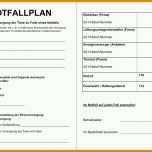 Limitierte Auflage It Notfallplan Vorlage 1024x725