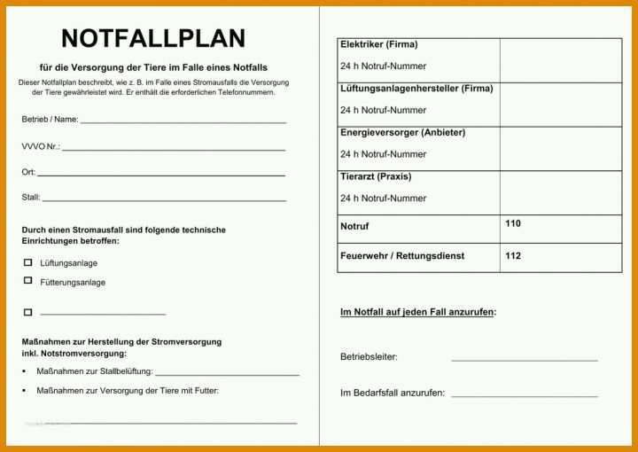 Kreativ It Notfallplan Vorlage 1024x725