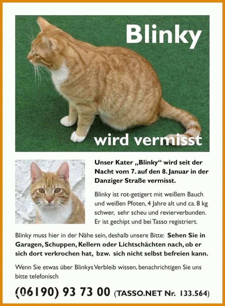 Beeindruckend Katze Vermisst Vorlage 875x1190