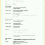 Original Tabellarischer Lebenslauf Pdf Vorlage 1448x2048