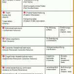 Beeindruckend 8d Report Vorlage Pdf 976x1662