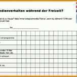 Selten Medientagebuch Vorlage 1024x601
