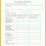 Wunderschönen Mieterselbstauskunft Vorlage 850x1100