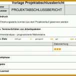 Singular Projektabschlussbericht Vorlage Word 720x540