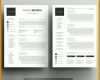 Sensationell Resume Vorlage 736x732