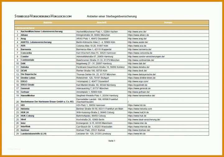 Erstaunlich Debeka Rentenversicherung Kündigen Vorlage 1245x877
