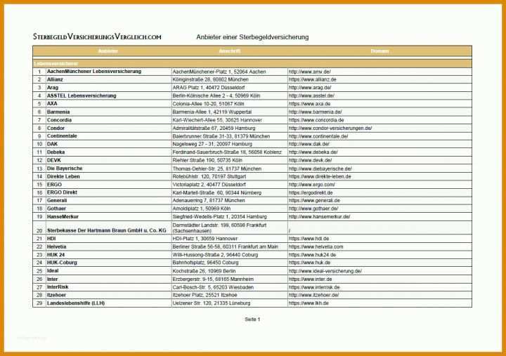 Erstaunlich Debeka Rentenversicherung Kündigen Vorlage 1245x877