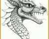 Einzigartig Drachen Vorlage 736x846