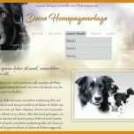 Toll Hunde Homepage Vorlagen 800x495