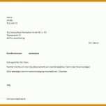 Singular Kündigung O2 Dsl Vorlage 705x599