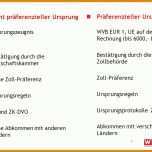 Einzahl Lieferantenerklärung Nichtpräferenzieller Ursprung Vorlage 960x720