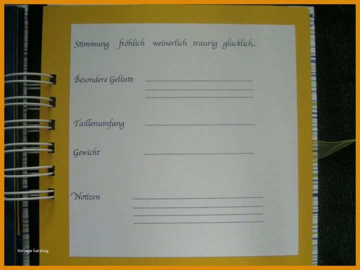 Atemberaubend Tagebuch Schwangerschaft Vorlage 845x634