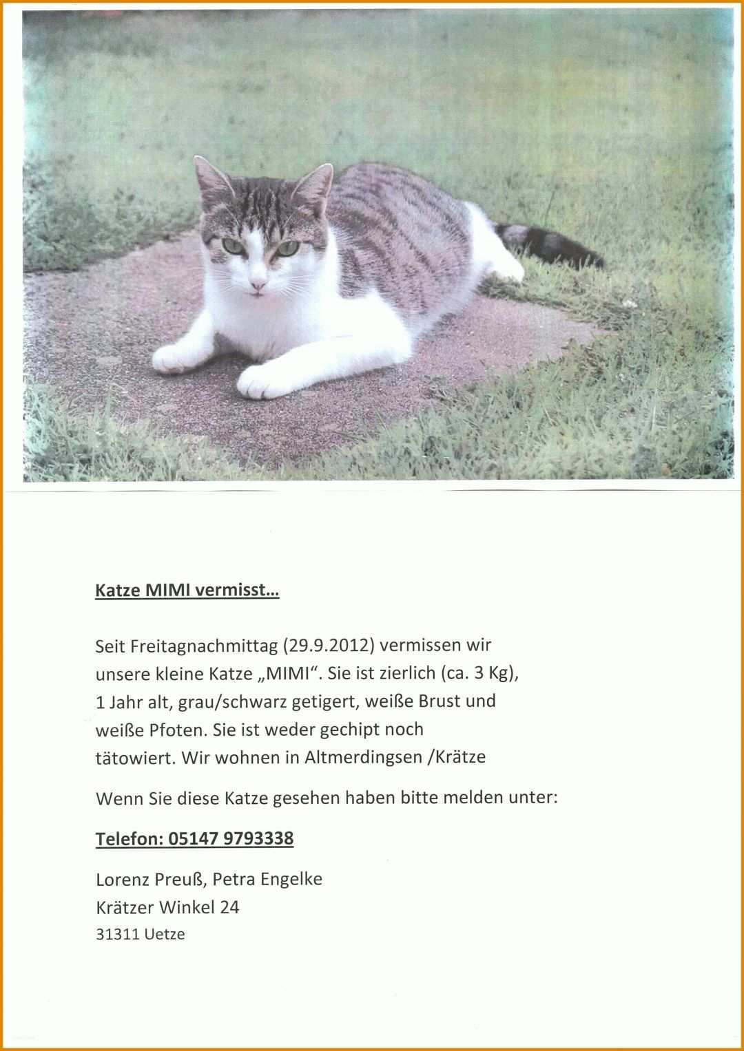 Fabelhaft Vermisstenanzeige Katze Vorlage 2481x3508