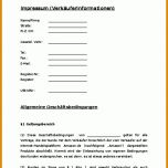 Wunderschönen Datenschutzerklärung Vorlage 2018 854x1206