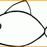 Toll Fisch Vorlage 1583x897
