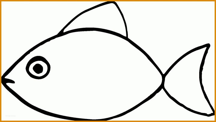 Sensationell Fisch Vorlage 1583x897