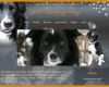 Hervorragend Hunde Homepage Vorlagen 800x495