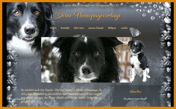 Hervorragend Hunde Homepage Vorlagen 800x495