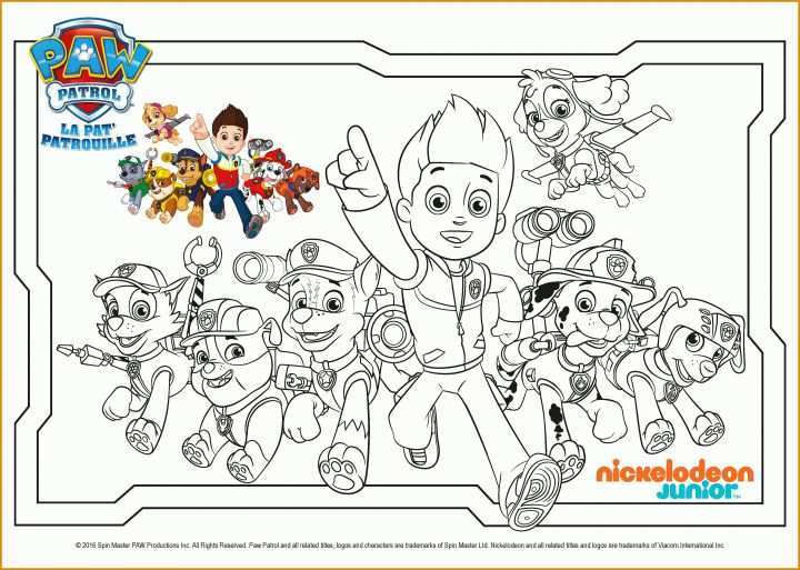 Original Paw Patrol Vorlage 4176x2977