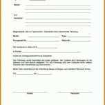 Erschwinglich Schadensmeldung Vorlage Word 1031x1452