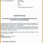 Toll Schweigepflichtsentbindung Arzt Vorlage 960x1469