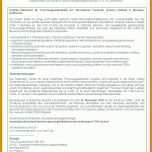 Überraschen Tabellarischer Lebenslauf Vorlage Pdf 720x1040