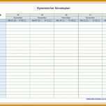 Beeindruckend Trainingsplan Vorlage Excel 991x645