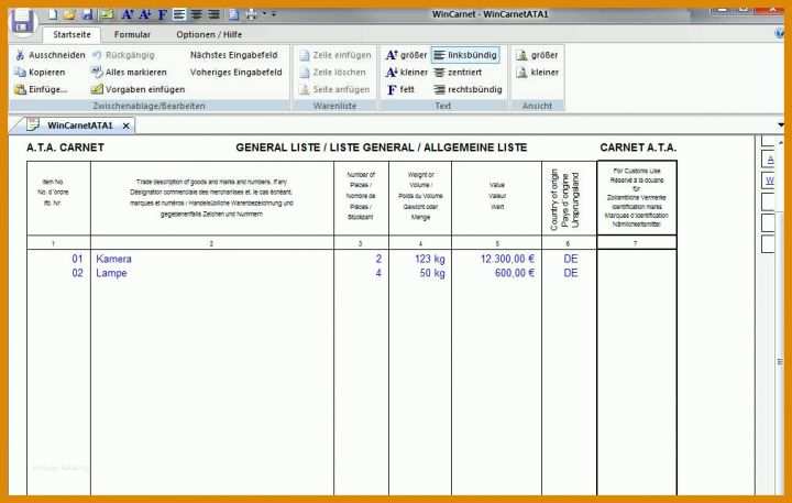 Hervorragend Carnet Ata Excel Vorlage 1011x642