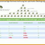 Faszinieren Hygieneschulung Vorlage 1280x720