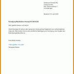 Größte Managementvertrag Vorlage 868x1227